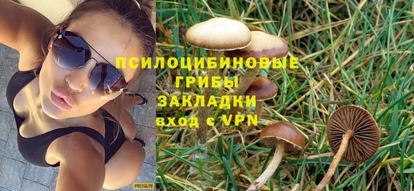 гашик Нефтекумск